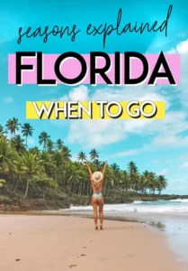 Best Time to Travel to Florida