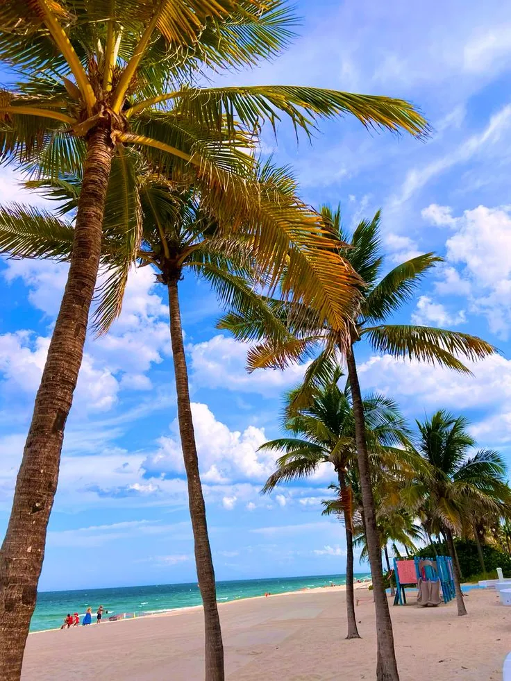 Fort Lauderdale Beach florida