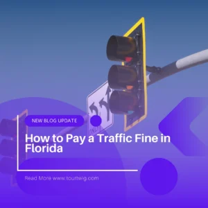 How to Pay a Traffic Fine in Florida