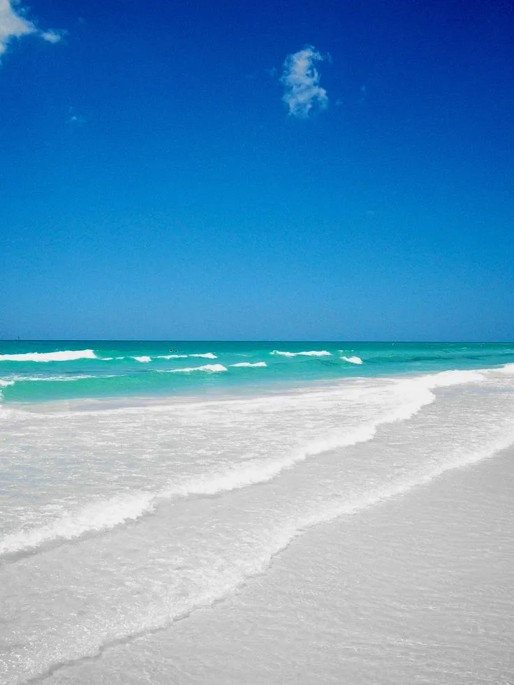 Siesta Key Beach