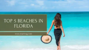 Top 5 Beaches in Florida